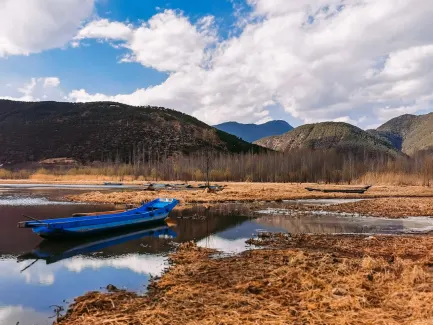 Winning Kasino Mobiilisovellus